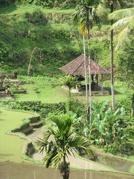 2007 07 17 BALI 0036.jpg